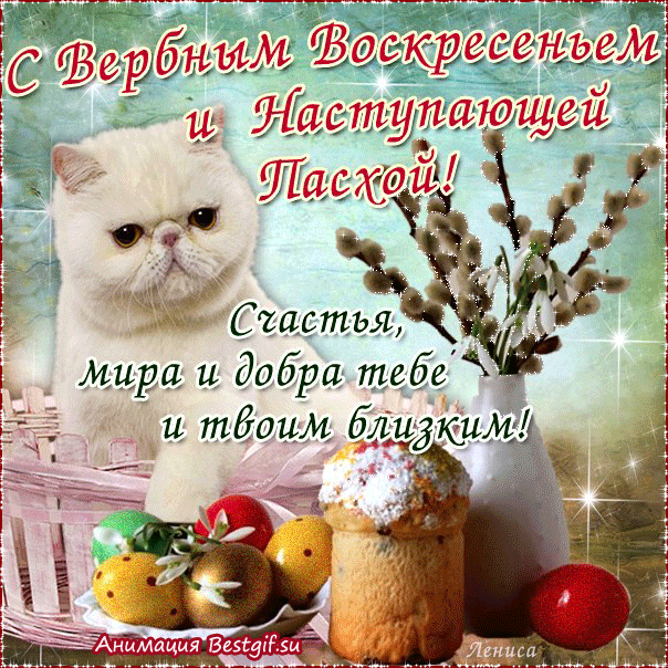 Открытка С вербным воскресеньем - Анимационная открытка с котенком и пасхой | Красивая открытка #78