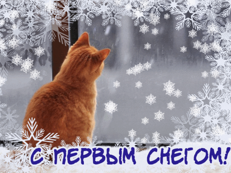 Открытка С первым снегом - Кот и снег за окном: Новогодняя открытка | Красивая открытка #8
