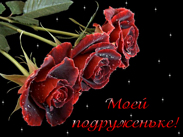 Открытка Открытки о дружбе - Поздравительная открытка с красными розами | Красивая открытка #233