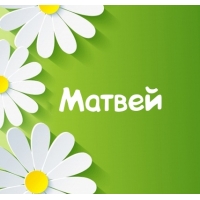 Открытка открытки с именем Матвей  - Открытка с цветами: ромашки на зеленом фоне | Красивая открытка #27