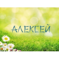 Открытка открытки с именем Алексей - Открытка с ромашками и надписью "Алексей" | Красивая открытка #32