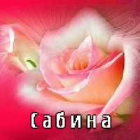 Открытка открытки с именем Сабина - Розовый бутон розы - открытка с цветами | Красивая открытка #21