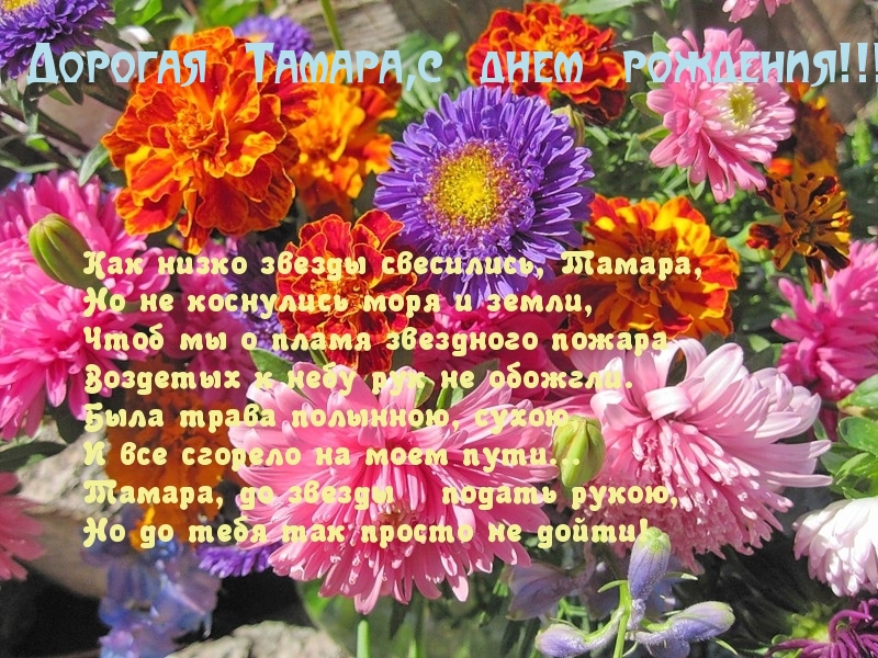 Открытка открытки с именем Тамара - Поле с разноцветными цветами | Красивая открытка #12