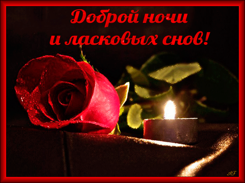 Открытка Открытки с пожеланиями на ночь - Красная роза и свеча: открытка с доброй ночью | Красивая открытка #9