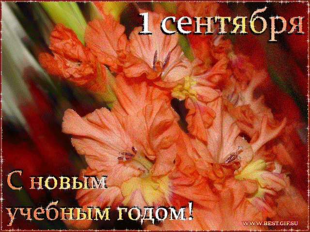 Открытка открытки на 1 сентября  - С 1 сентября! Открытка с оранжевыми цветами | Красивая открытка #43