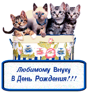 Открытка С днем рождения внук - Открытка с котятами: С Днём Рождения! | Красивая открытка #15