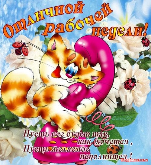 Открытка открытки с пожеланиями хорошей недели  - Открытка с рыжим котиком и бабочками | Красивая открытка #10