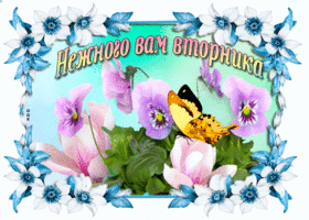 Открытка Открытки на вторник - Открытка с цветами и бабочкой | Красивая открытка #44