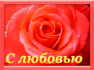 Открытка С любовью - Красная роза: открытка с цветами, поздравление | Красивая открытка #75