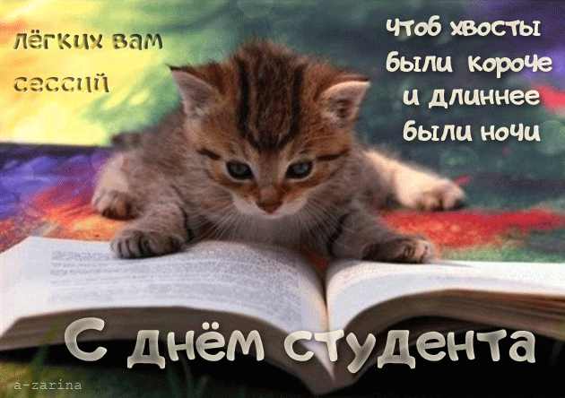 Открытка Открытки с днем студента - Студент-котик: Открытка с забавным котенком | Красивая открытка #17