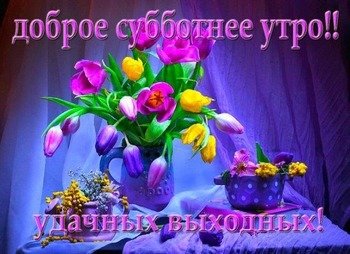 Открытка Открытки на субботу - Букет тюльпанов: фиолетовые и желтые цветы | Красивая открытка #168