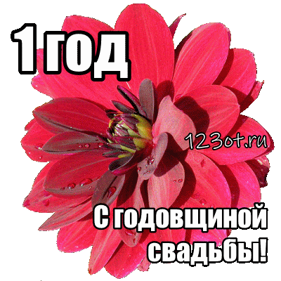 Открытка Открытки на Ситцевую свадьбу 1 год - Открытка с красным цветком: С годовщиной свадьбы! | Красивая открытка #76