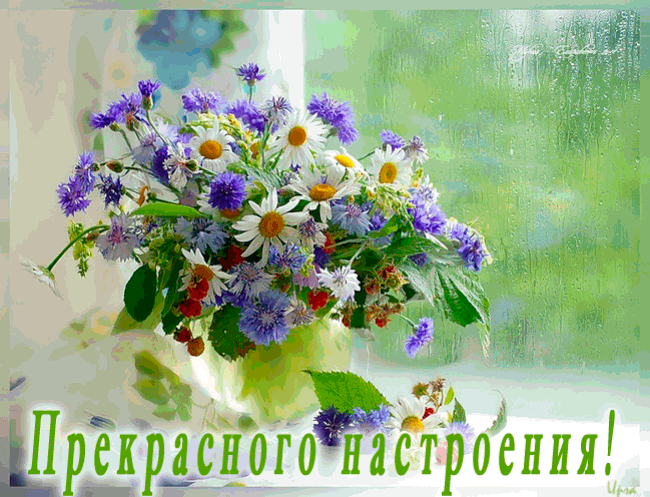 Открытка Открытки хорошего настроения - Открытка с цветами: ромашки, васильки, зелень | Красивая открытка #106