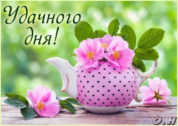 Открытка Удачного дня - Чайник с цветами: нежная открытка с природой | Красивая открытка #13