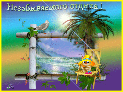 Открытка открытки с пожеланиями хорошего отпуска  - Открытка с котиком на пляже, пальмы и море | Красивая открытка #20