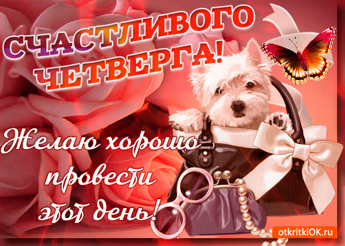 Открытка Открытки на четверг - Открытка с собакой и бабочкой  Поздравления с днем рождения | Красивая открытка #102