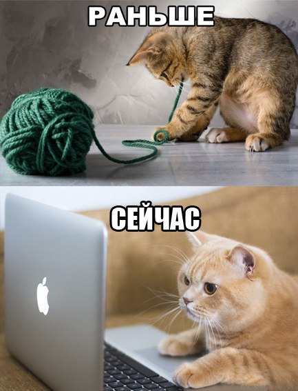 Открытка Остроумные открытки с приколами - Кот и клубок: забавная открытка с котенком | Красивая открытка #2