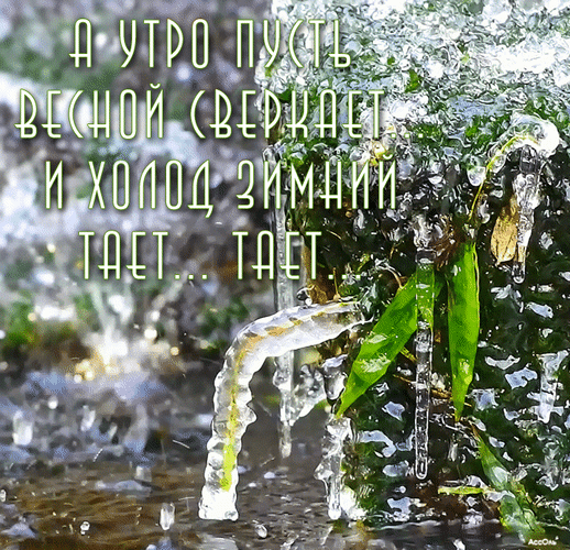 Открытка доброе весеннее утро - Снежные сосульки на ветке. Зимний пейзаж. | Красивая открытка #6