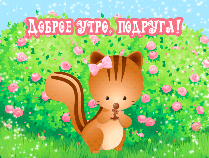Открытка открытки с добрым утром - Белка с орехом на фоне цветов: открытка | Красивая открытка #93