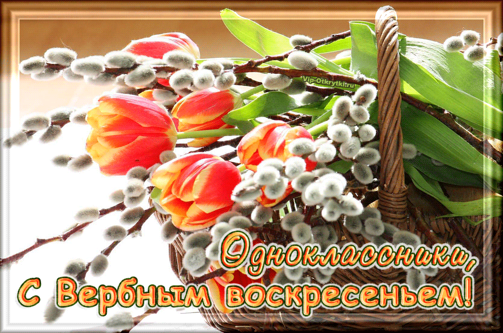 Открытка С вербным воскресеньем - Открытка с иветью и тюльпанами  С Пасхой! | Красивая открытка #274