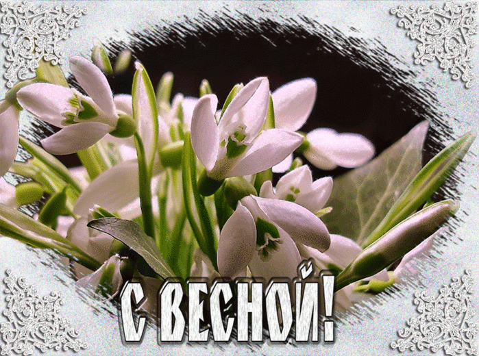 Открытка Первый день весны - Открытка с подснежниками: нежные цветы весны | Красивая открытка #72
