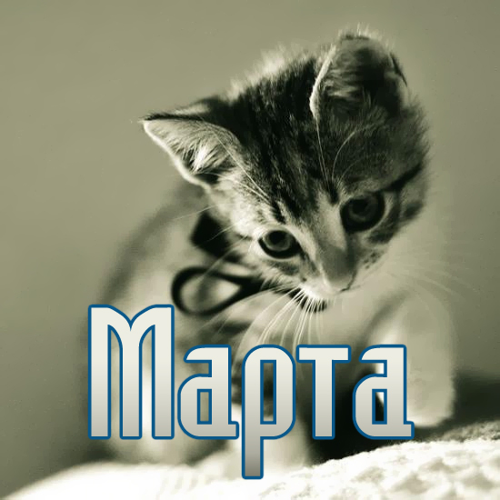 Открытка открытки с именем Марта  - Открытка с милым котенком | Красивая открытка #3