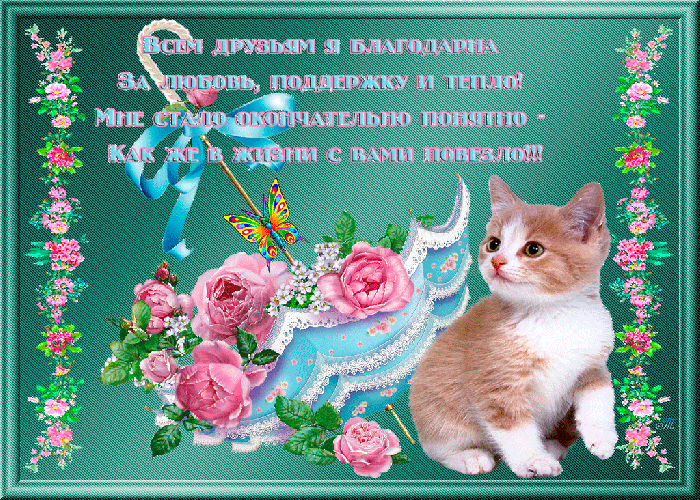 Открытка О дружбе - Открытка с котенком и цветами | Красивая открытка #78
