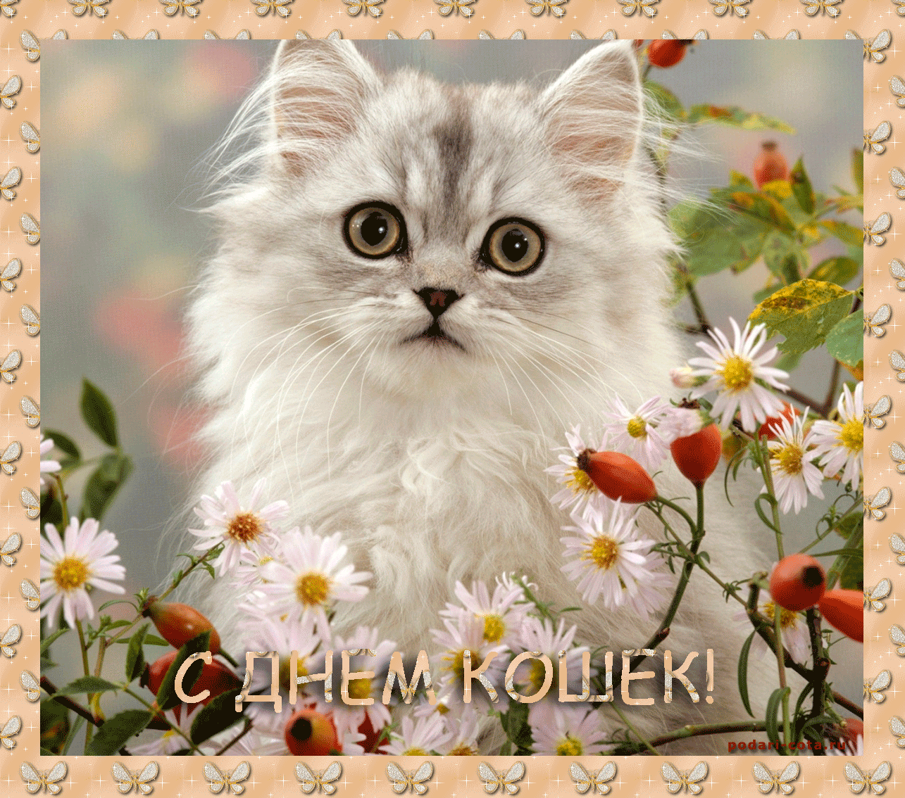 Открытка Открытки с днем кошек - С Днем кошек! Открытка с милым котенком и цветами | Красивая открытка #17