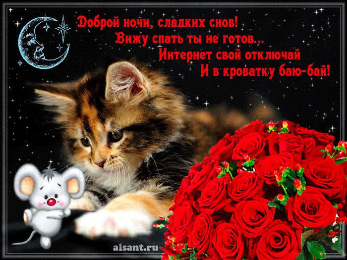 Открытка Открытки с пожеланиями на ночь - Открытка с котенком и розами  поздравления с ночью | Красивая открытка #159