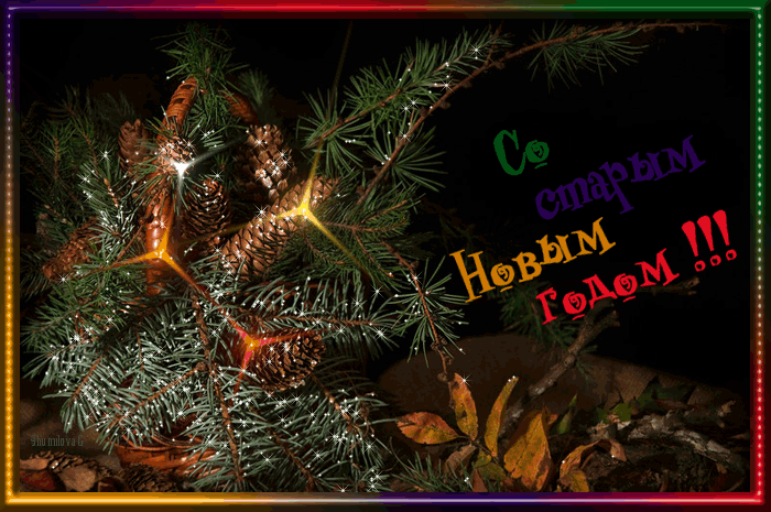 Открытка открытки на старый новый год - Открытка с шишками и елкой  С Новым Годом! | Красивая открытка #247