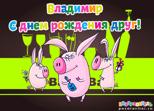 Открытка открытки с именем Владимир - Открытка с свинками на вечеринке: поздравление с Днём рождения | Красивая открытка #261