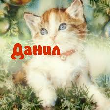 Открытка открытки с именем Данил - Открытка с рыжим котенком на елке | Красивая открытка #9