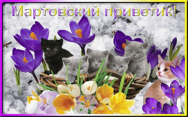 Открытка Март - Открытка с котятами и цветами: весеннее настроение | Красивая открытка #1