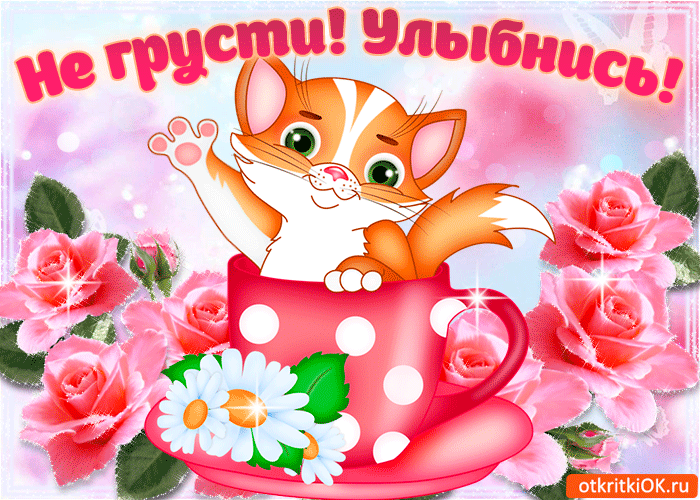Открытка Открытки улыбнись - Открытка с котенком в чашке - купить онлайн | Красивая открытка #164
