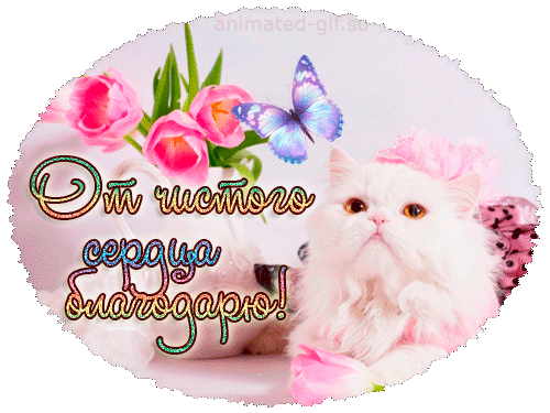 Открытка Благодарность - Открытка с котенком и цветами | Красивая открытка #30