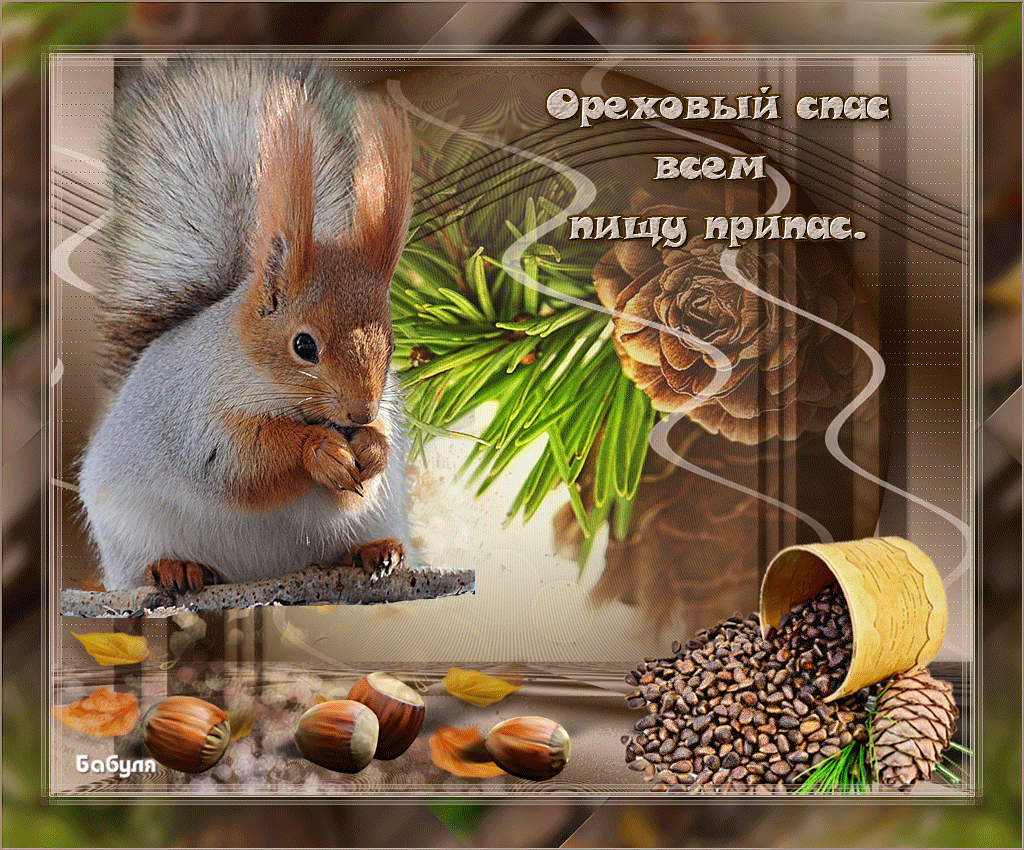 Открытка Ореховый спас - Белка с орехами: поздравительная открытка | Красивая открытка #118