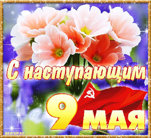 Открытка 9 мая - 9 мая: поздравительная открытка с цветами и георгиевской лентой | Красивая открытка #87