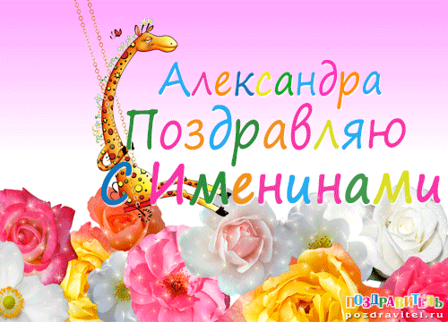 Открытка открытки с именем Александр - Открытка с цветами и жирафом: поздравления с именами | Красивая открытка #20