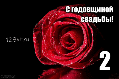 Открытка Открытки на Бумажную свадьбу 2 года - Красная роза с блестками — поздравительная открытка | Красивая открытка #90