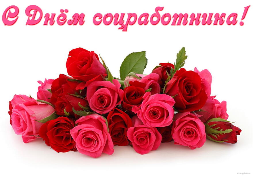 Открытка Открытки с днем социального работника - Букет роз: красные и розовые цветы | Красивая открытка #6