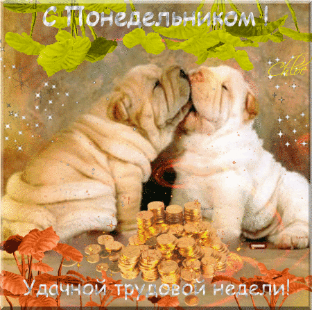 Открытка Открытки на понедельник - Открытка с щенками: милые пёсики и осенние листья | Красивая открытка #90
