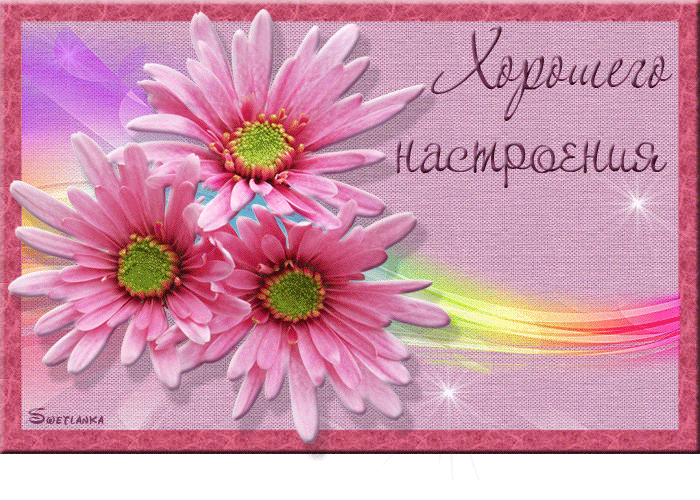 Открытка Открытки хорошего настроения - Розовые цветы на открытке - С Днем Рождения! | Красивая открытка #120