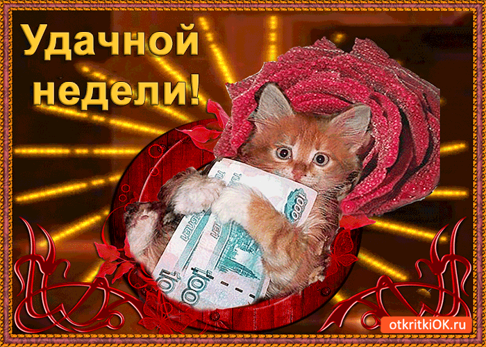 Открытка Удачи - Котенок с деньгами: смешная открытка с котенком | Красивая открытка #97