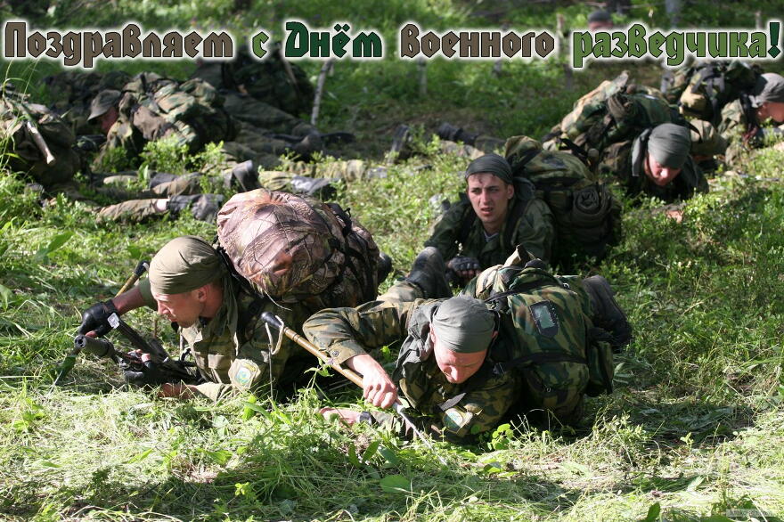 Открытка День военного разведчика - Открытка с военными в зелени  поздравления с Днем  Фото | Красивая открытка #14