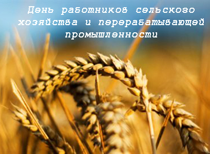 Открытка День работников сельского хозяйства - Злаковые колосья: открытка с Днём поля | Красивая открытка #39