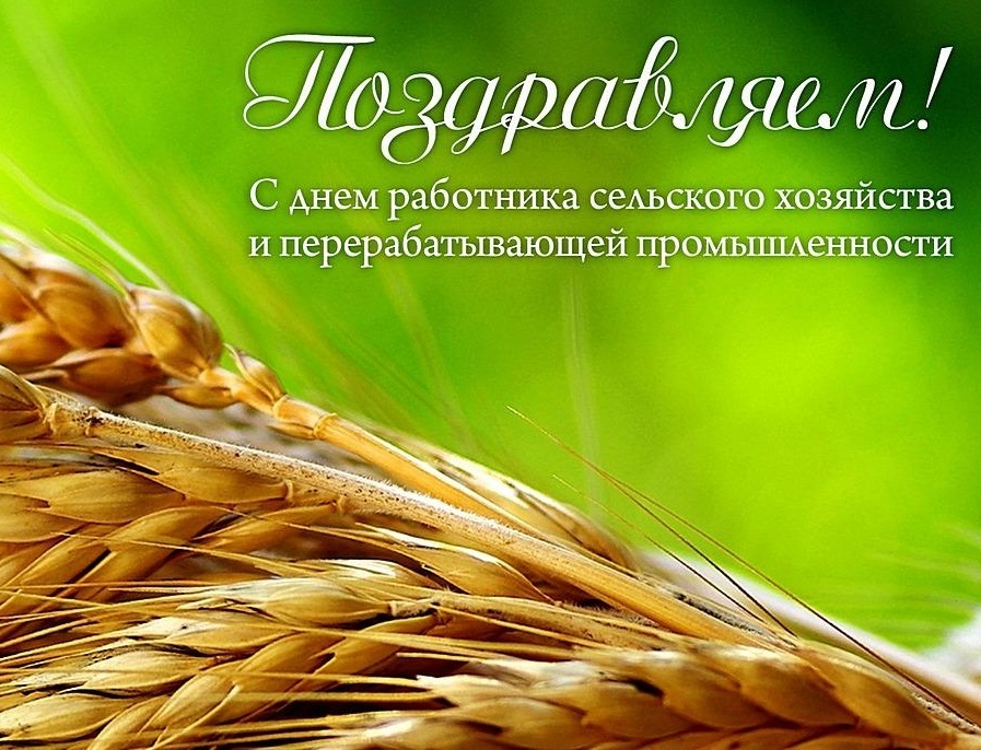 Открытка Открытки на день работников сельского хозяйства и перерабатывающей промышленности  - Пшеничная открытка: День работника сельского хозяйства | Красивая открытка #33