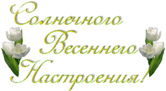 Открытка Для хорошего настроения - Открытка с тюльпанами: Весеннее настроение | Красивая открытка #26
