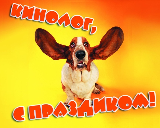 Открытка Открытки с днем кинолога - Собака с большими ушами на открытке | Красивая открытка #24