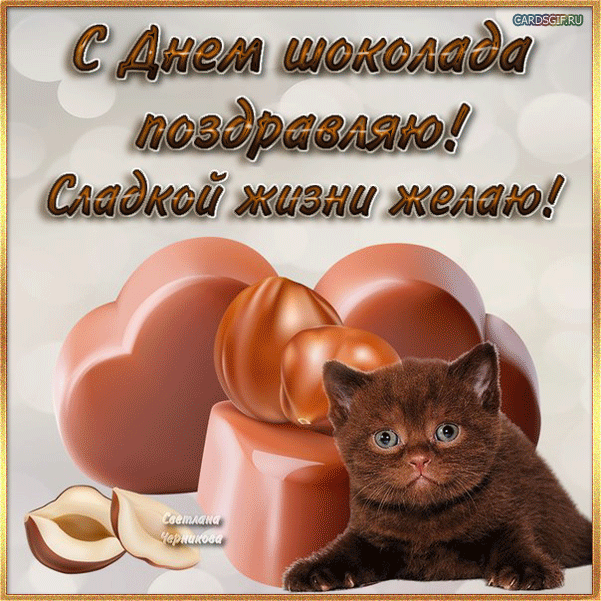 Открытка Открытки с днем шоколада - Открытка с котенком и шоколадом  поздравления | Красивая открытка #61