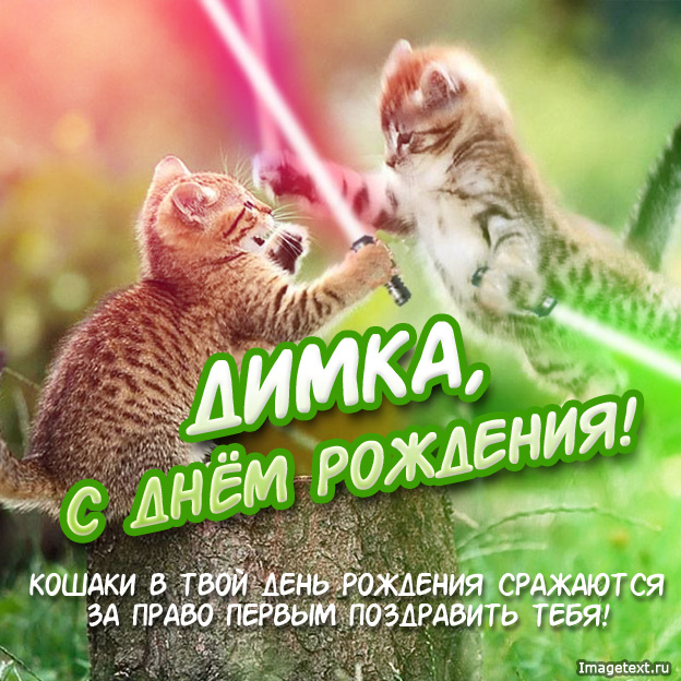 Открытка открытки с именем Дмитрий  - С Днём Рождения! Открытка с котиками  С Днем рождения | Красивая открытка #7